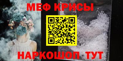 спайс Кингисепп