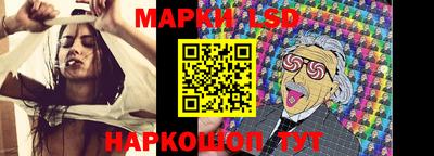 спайс Кингисепп