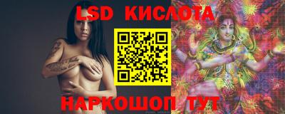 спайс Кингисепп