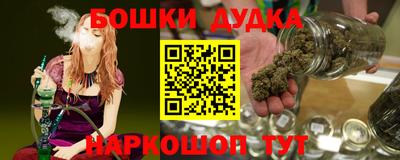 спайс Кингисепп