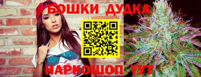 крисы Кинель