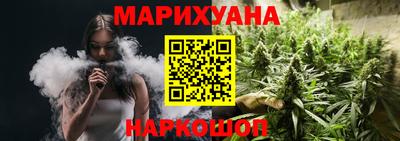 спайс Кингисепп