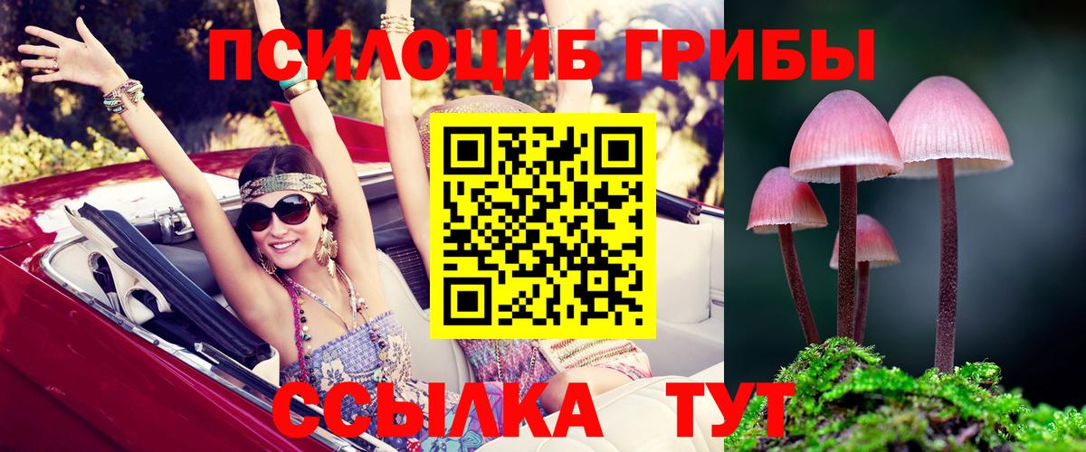 Псилоцибиновые грибы ЛСД Кохма