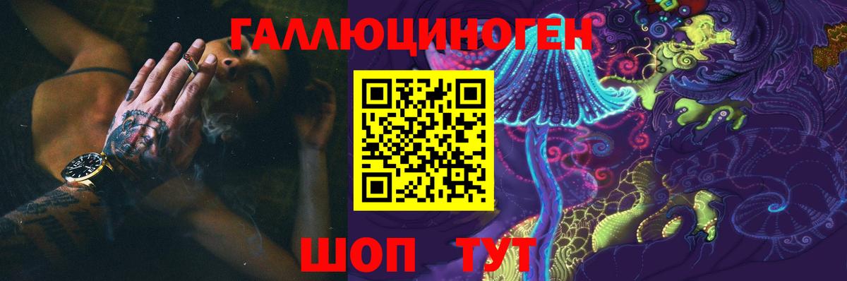 Кохма  Псилоцибиновые грибы Psilocybe  Вход с VPN 