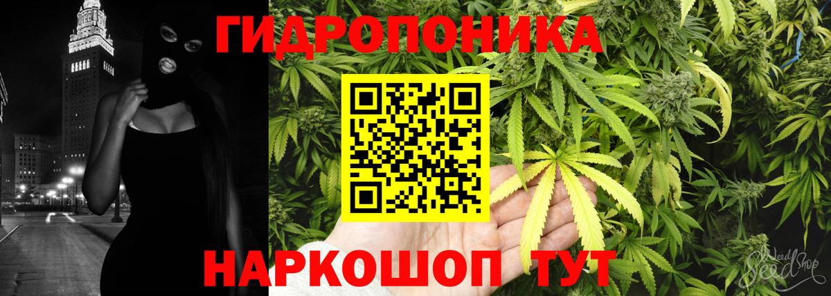 Шишки марихуана Bruce Banner Кохма